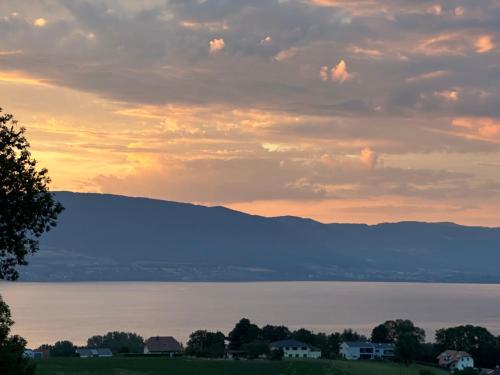 Appartement avec vue sur le lac à couper le souffle in Châtillon, Schweiz