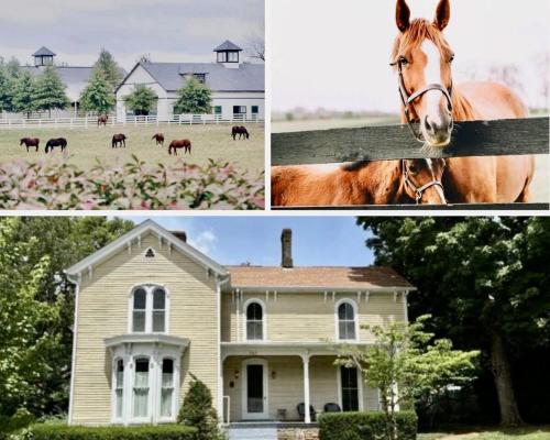 The Versailles House Keeneland and Bourbon Trail in 凡爾賽 (KY)