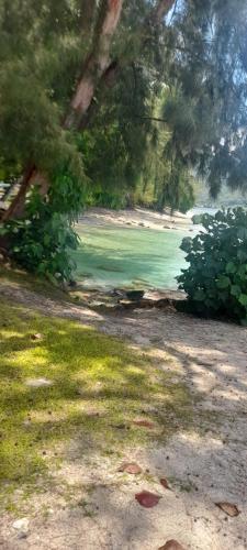 ชายหาด, Huahine's Place in หัวไฮน์ ไอซ์แลนด์