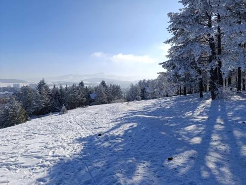 Mountview Zlatibor - image 2
