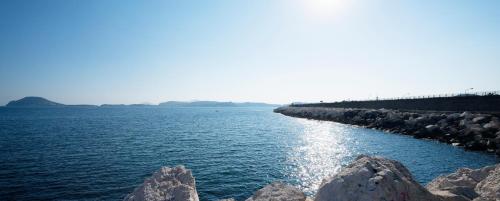 B&B Dumbolo - image 4