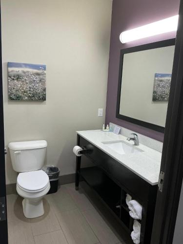 La Quinta by Wyndham Colorado City - image 11