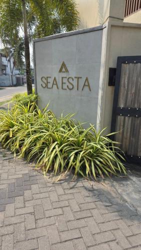 SEA ESTA - image 3
