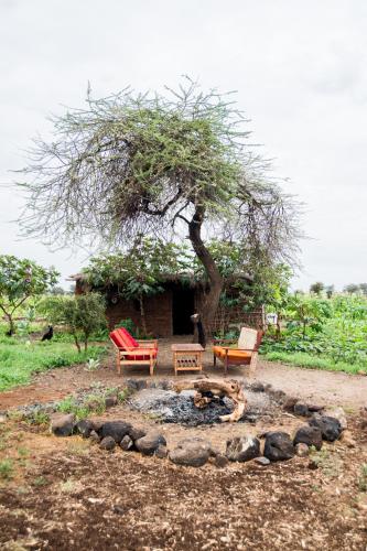 設施, 韋弗肯尼亞旅館 (WE4Kenya Guesthouses) in 安博塞利