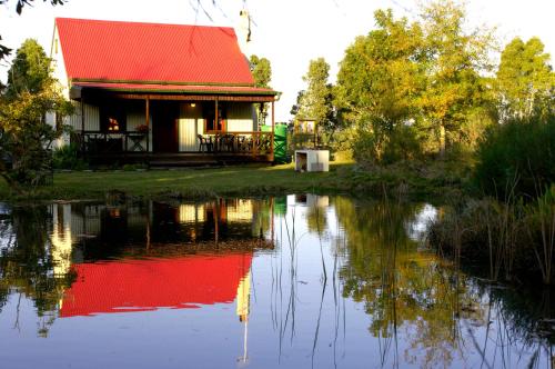 Forest Edge Forest Edge