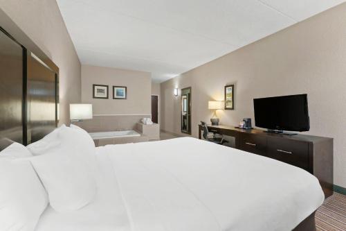 Comfort Inn Lehigh Valley West - image 11