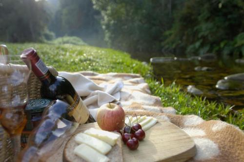 Forest Edge Forest Edge