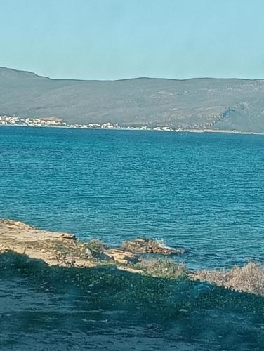Paradis in Ezzahra (Bin `Arus)