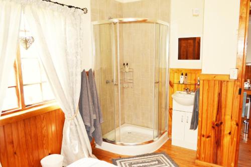 Forest Edge Forest Edge