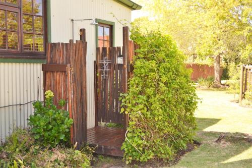 Forest Edge Forest Edge