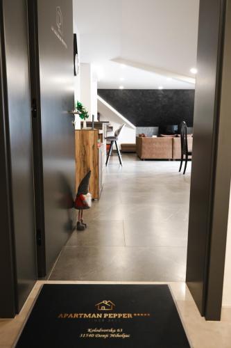 Facilities, Pepper Apartman Donji Miholjac in Belisce
