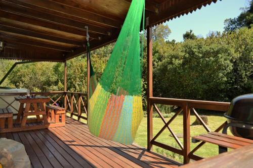 Forest Edge Forest Edge