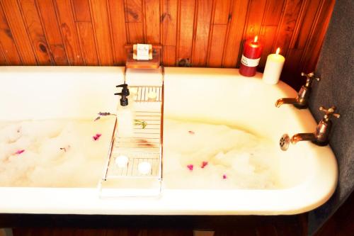 Forest Edge Forest Edge