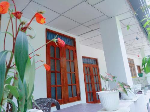 Ella Tea Land View - image 3