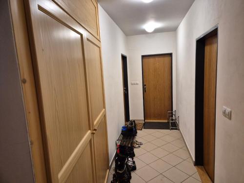 Apartman Alfa pod sjezdovkou in Cerny Dul