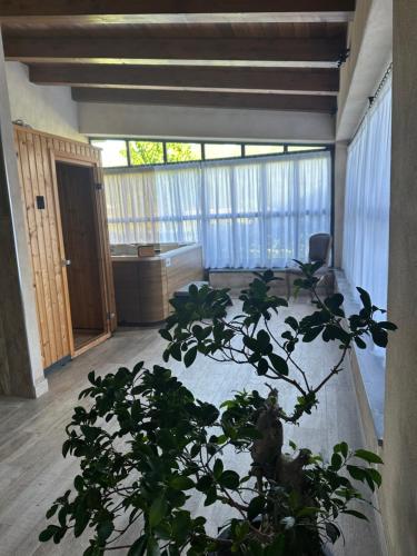 Family Farm Agriresort in Pietravairano