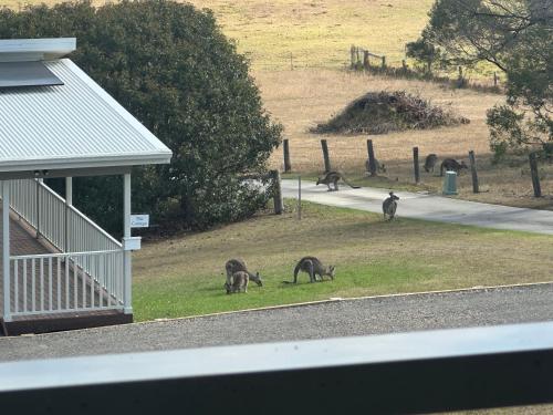 The Cottage in Moruya