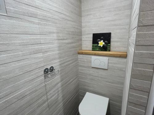 Studio lumineux 4 pers animaux admis parking Le Grand-Bornand - FR-1-467-75 - image 2