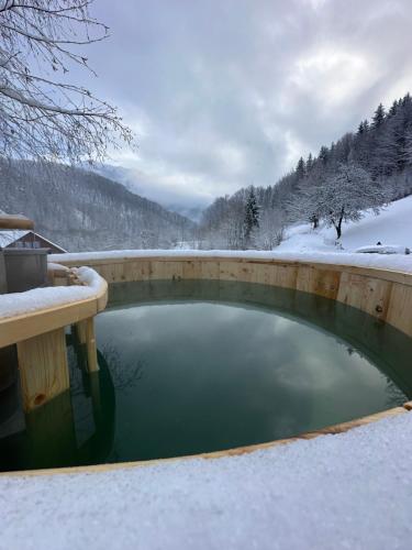 Chalet Carolina in Godeanu