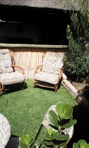 Authentic Bicycle Tours and Backpackers in Soweto