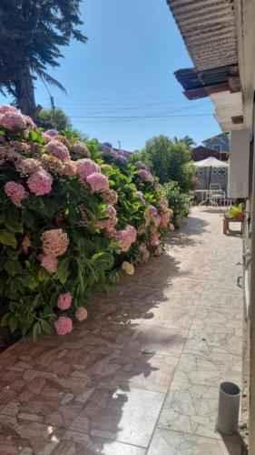 Departamento y posada a pocos metros del mar