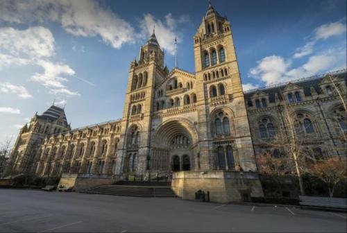 Impressive South Kensington Central Apartment - sleeps up to 6 - next to Museums direct from Heathrow - main image