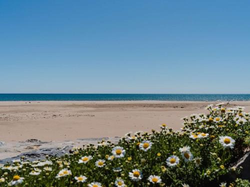 Villa 4 pièces lumineuse avec terrasse garage 6 couchages proche plage et commerces Narbonne-Plage - FR-1-409-19 - image 3
