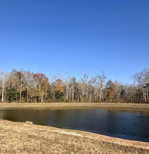 Hidden Hollow RV Park in Cottonwood (AL)