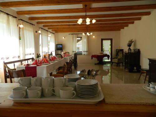 Vendel Guesthouse in Targu Secuiesc