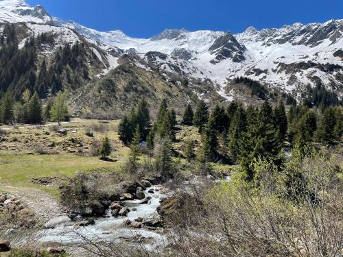 周邊環境, AusZeit in 格施尼茨