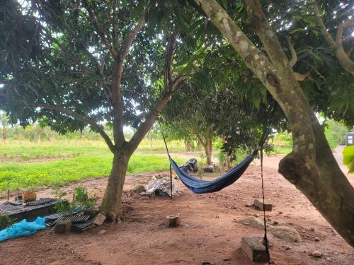 Skats, Off-Grid Healing Ecolodge Stay in Ho, Ghana in Ho