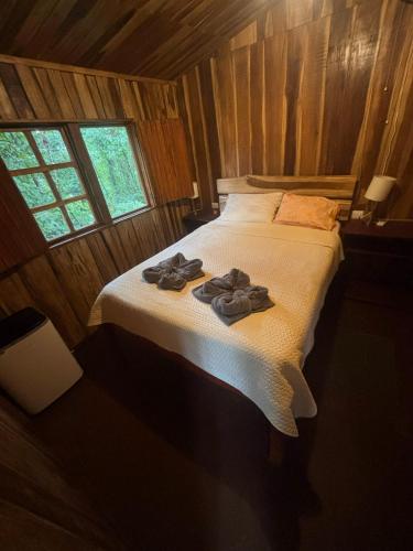 Mineral River Eco Village in رينكون دى لا فييجا