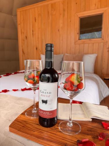 Epífita, Bosque Nuboso Glamping Monteverde (Epifita, Bosque Nuboso Glamping Monteverde) in 蒙特韋德