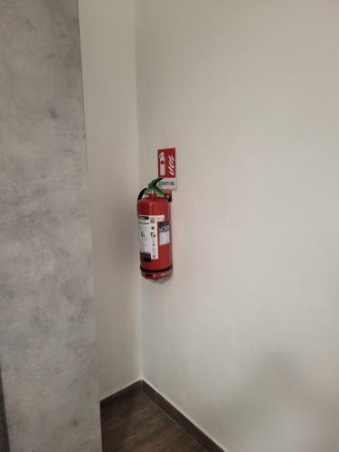 Casa Mafalda in Campiglia