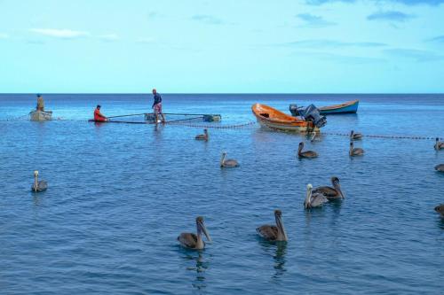 Bungalow sur la plage Balaou in Le Carbet