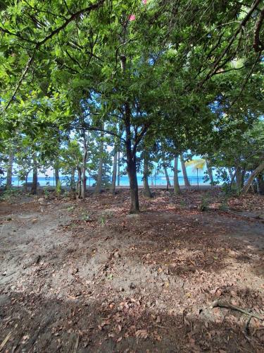 Bungalow sur la plage Balaou in Le Carbet