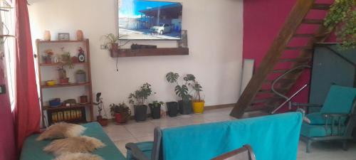casita de campo in Pinto