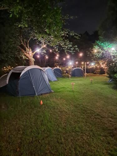 Pop-Up camping close to festival - Ganzendrieshoeve in 里特