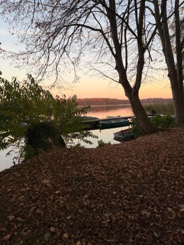 Häuschen Seensucht am Vielitzsee (Hauschen Seensucht am Vielitzsee) in Lindow