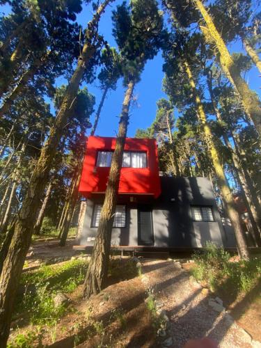 Bosque Libertad Loft