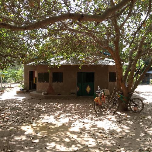 Living Earth Farm Diannah - Sounds of Nature in Abéné