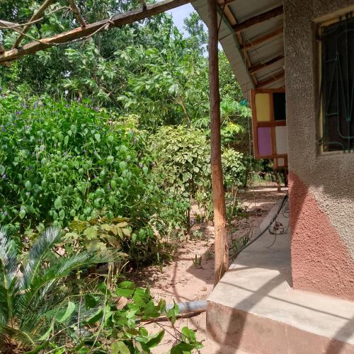 Iekārtas, Living Earth Farm Diannah - Sounds of Nature in Abéné