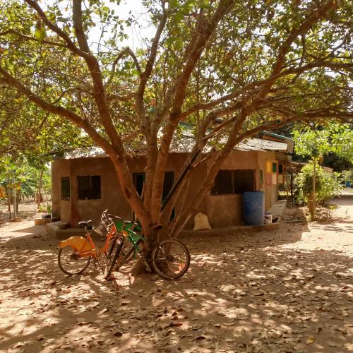 Dārzs, Living Earth Farm Diannah - Sounds of Nature in Abéné