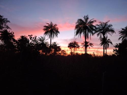 Skats, Living Earth Farm Diannah - Sounds of Nature in Abéné