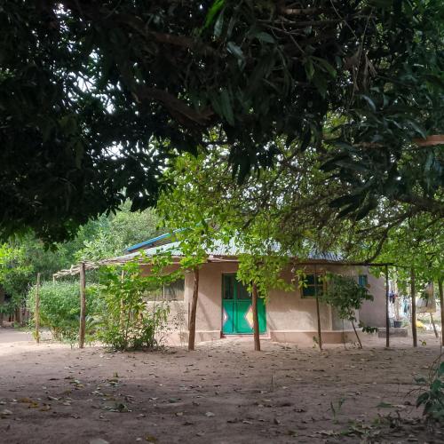 Apkārtne, Living Earth Farm Diannah - Sounds of Nature in Abéné