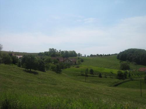 Tourist Farm Joannes - image 5