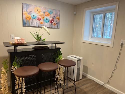 Seadmed, Evergreen Escapes 4 BR with Game Room, Firepit near Kalahari and Camelback in Tobyhanna Township (PA)