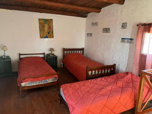 Carranca TH5 in Arachania