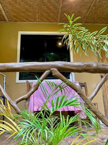 MIKI's Guest House - Tap to explore photos