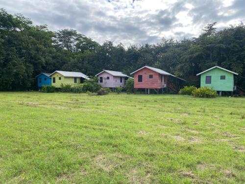 4J's Cabins – khách sạn tại Bullet Tree Falls